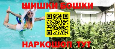 индика Кулебаки