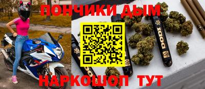 индика Кулебаки