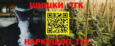 индика Кулебаки