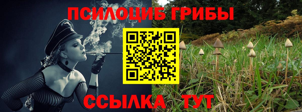 сколько стоит  Вход с VPN  Псилоцибиновые грибы MAGIC MUSHROOMS  Выборг  Галлюциногенные грибы мицелий 